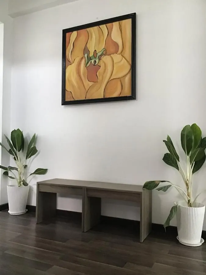Ki No Homestay Hoi An Vietnam